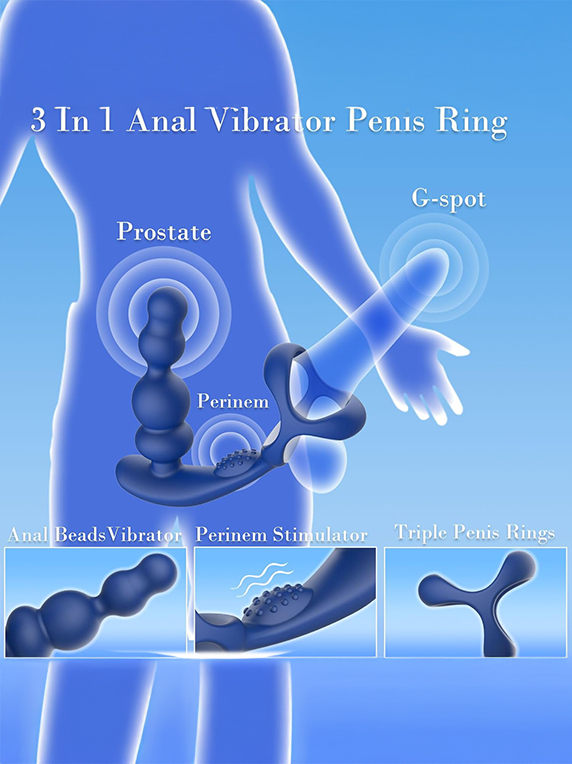 Sea Dragon - Image 6